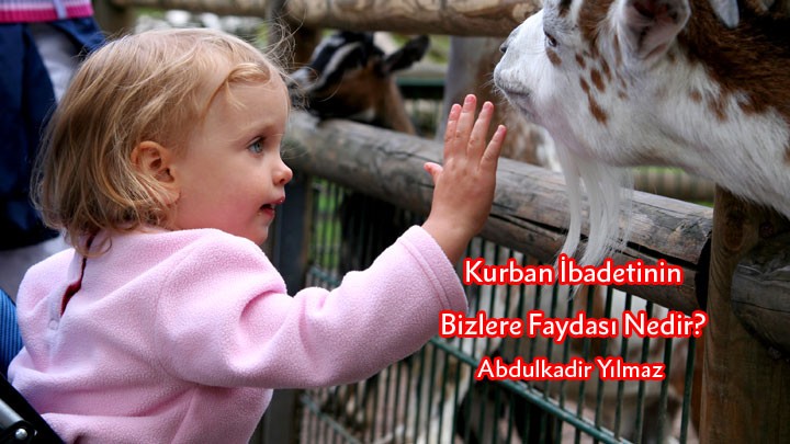 Kurban İbadetinin Bizlere Faydası Nedir?